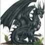 Blackdragon2010